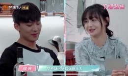 郑爽张恒最新大爆料,揭秘娱乐圈惊天内幕